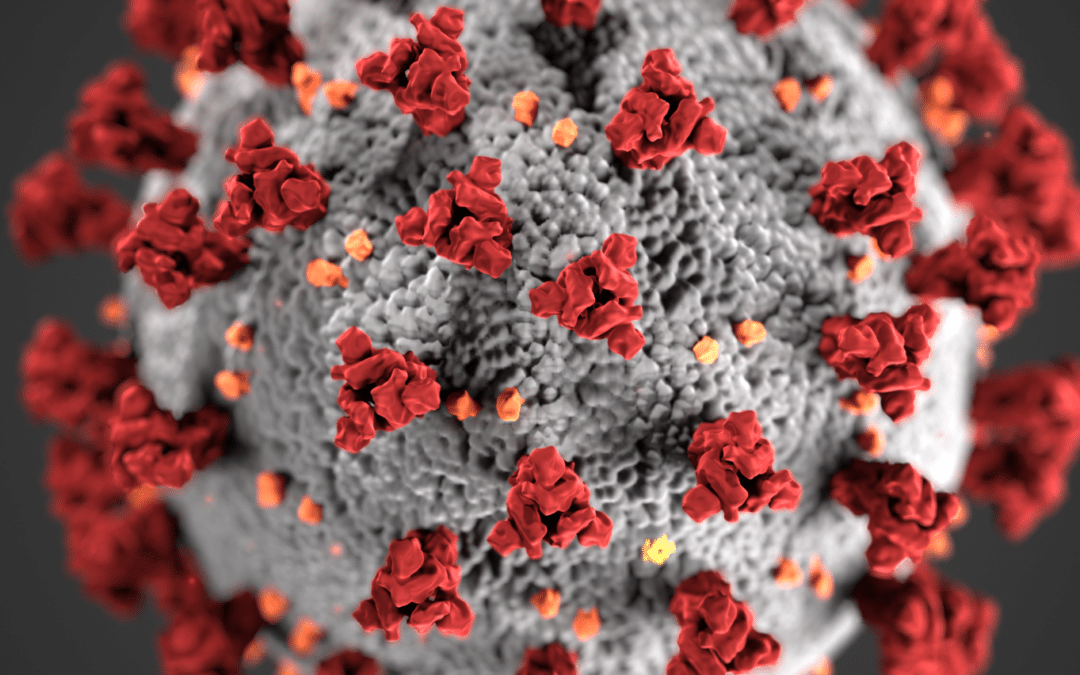 What You Need to Know about the Novel Coronavirus