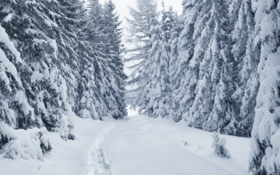 Winter Woes: Common Cold-Weather Emergencies and How to Stay Safe